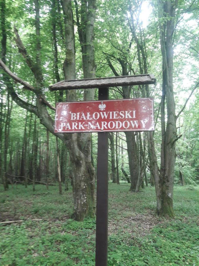 In Nature Bialowieza Exterior foto