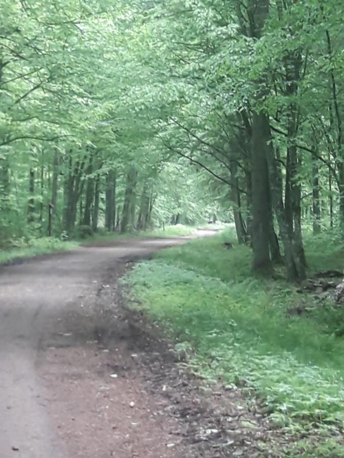 In Nature Bialowieza Exterior foto