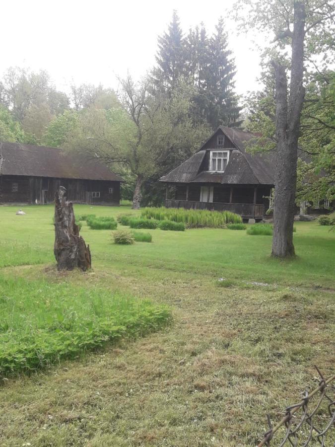 In Nature Bialowieza Exterior foto