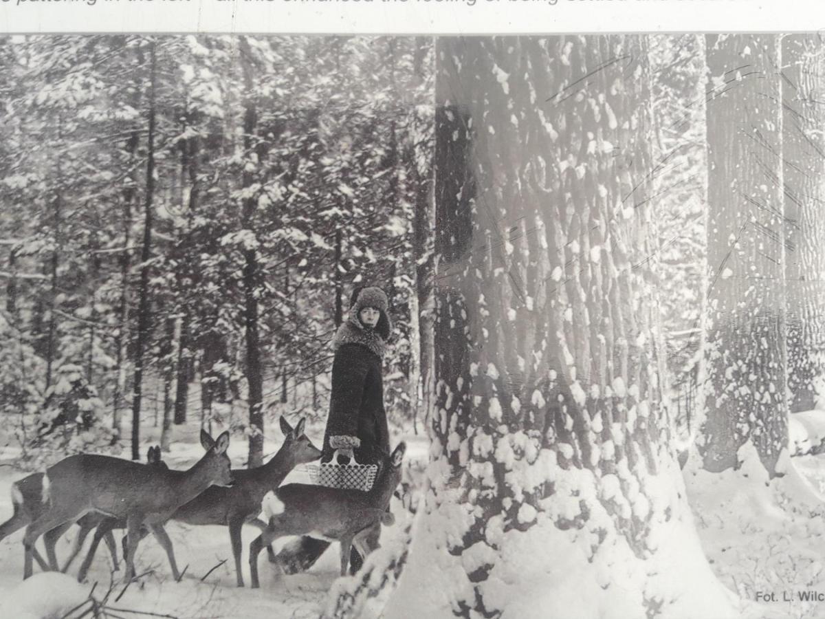 In Nature Bialowieza Exterior foto