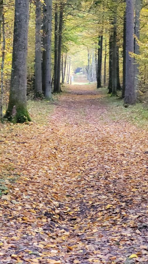 In Nature Bialowieza Exterior foto